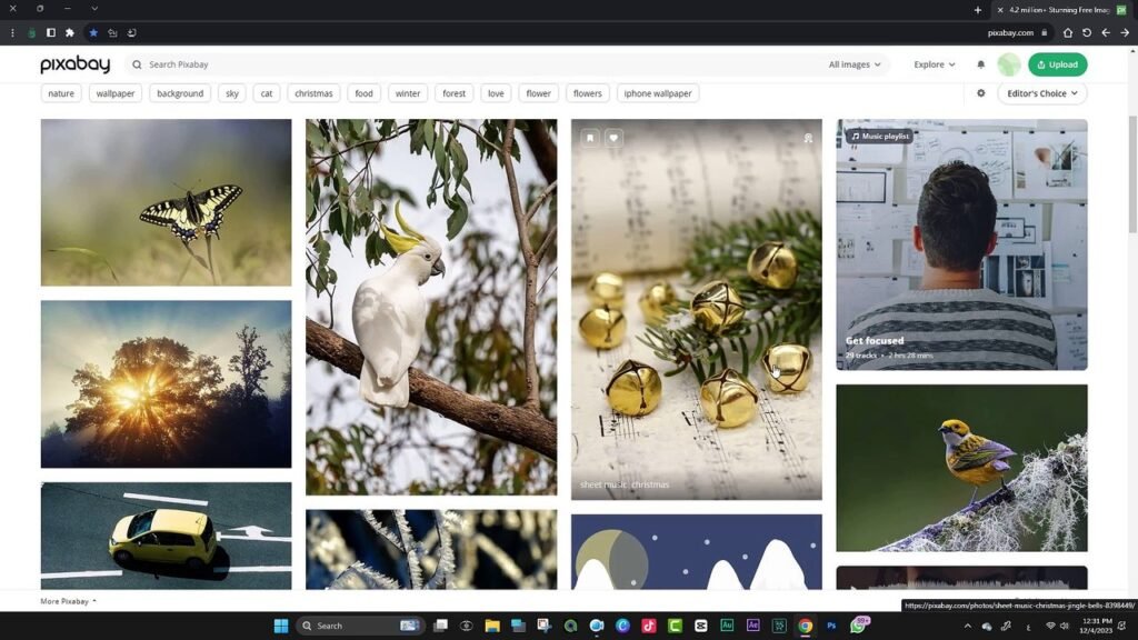 موقع Pixabay من أفضل مواقع تحميل مؤثرات فيديو للمونتاج مجانا